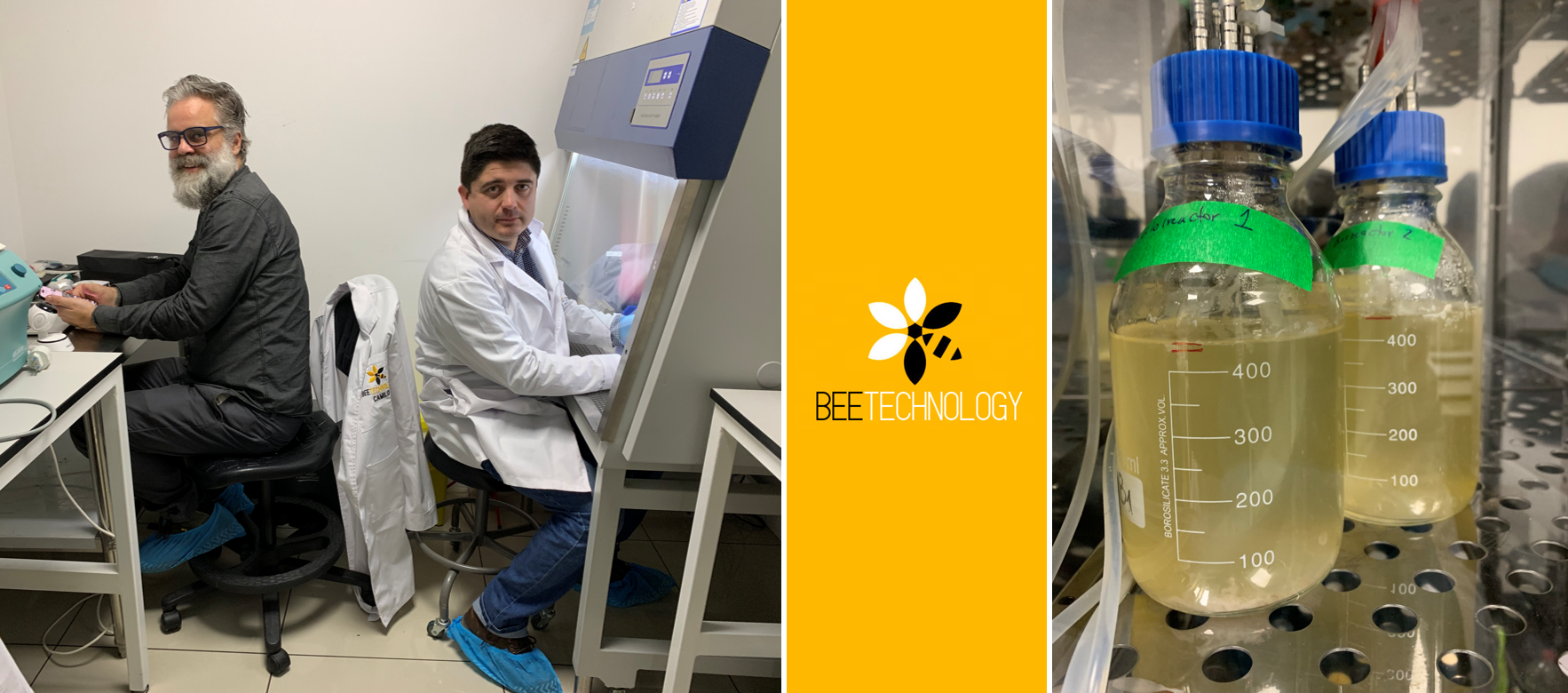Tom and Felipe at BeeTech’s lab, working on the implementation of Nalca 1